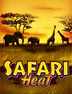 รีวิว joker เติม true wallet สุดมันส์ต้องลอง!